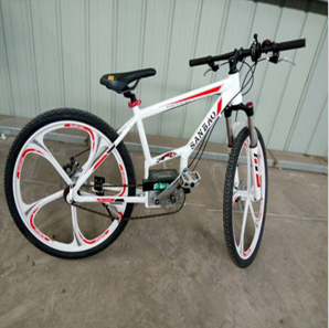 安義縣山豹車業(yè)有限公司減震自行車