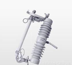 供應(yīng)跌落開關(guān)（ABB）NCX-12/100-12.5仿ABB型