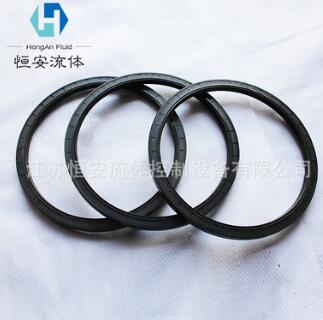 骨架油封 廠家專業(yè)生產(chǎn) 高品質(zhì) 防腐蝕耐高溫 經(jīng)久耐用 量大從優(yōu)