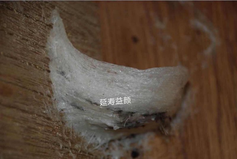 浙江5A燕窩批發(fā),浙江高泡發(fā)燕窩,云南登豪商貿(mào)