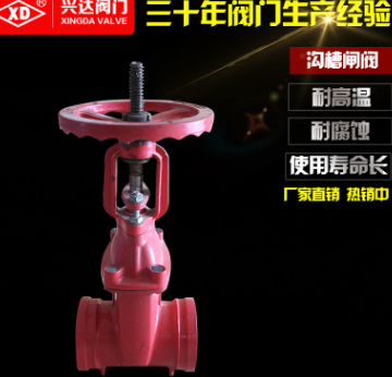 興達閥門批發(fā)軟密封型溝槽式卡箍閘閥RRGX明桿不銹鋼閥門Z81X-16Q