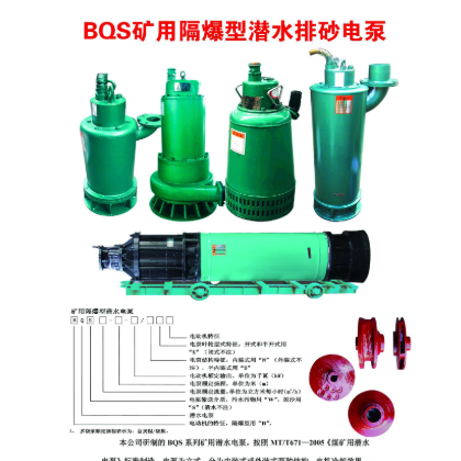 廠家直銷BQS礦用隔爆不堵塞耐磨防纏繞大功率潛水污水泵