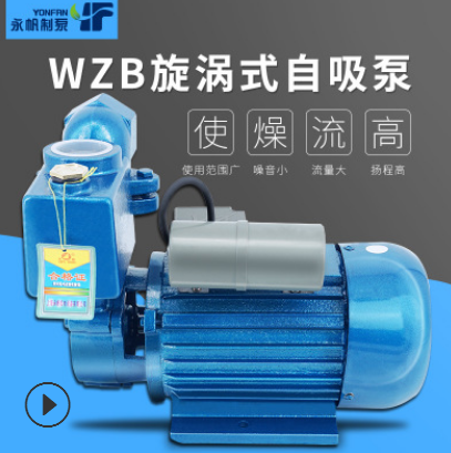 上海永帆 自吸泵家用小型臥式水泵 抽水泵高揚程220VWZB 廠家直銷