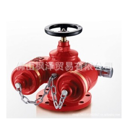 供應(yīng)廣東SQD100-1.6 SQD150-1.6多用式地上消防水泵接合器