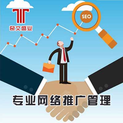 專業(yè)網(wǎng)絡推廣-奇文盛業(yè)