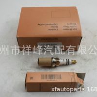 批發(fā)優(yōu)質(zhì)汽車銥金火花塞火嘴101905601F適用于VW大眾奧迪F7HER2