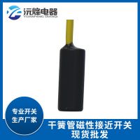 圓柱感應(yīng)式長距離自動(dòng)浮球開關(guān)水位耐高溫耐磨干簧管接近開關(guān)加工