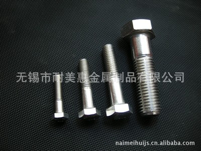 廠家直銷 304不銹鋼螺絲 螺栓 緊固件 標(biāo)準(zhǔn)件 連接件 M8 M10 M12