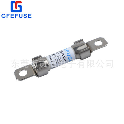 廠家直銷：混合動(dòng)力車用熔斷器 EV汽車熔斷器 快速熔斷器