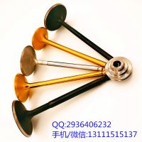 廠家現(xiàn)貨供應(yīng)生產(chǎn)各種進(jìn)排氣門(mén)適用康明斯QSK195 51*11*203