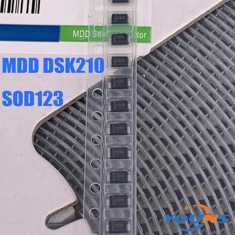 DSK2100002.JPG