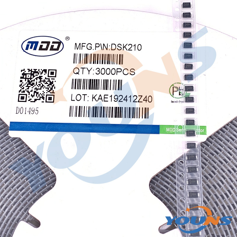 DSK2100.JPG