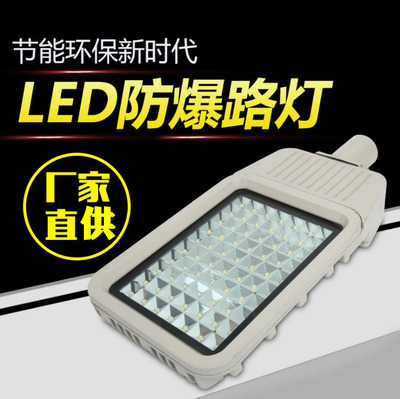單雙臂LED防爆路燈 6米防爆路燈 8米防爆路燈質(zhì)保3年80W 100W