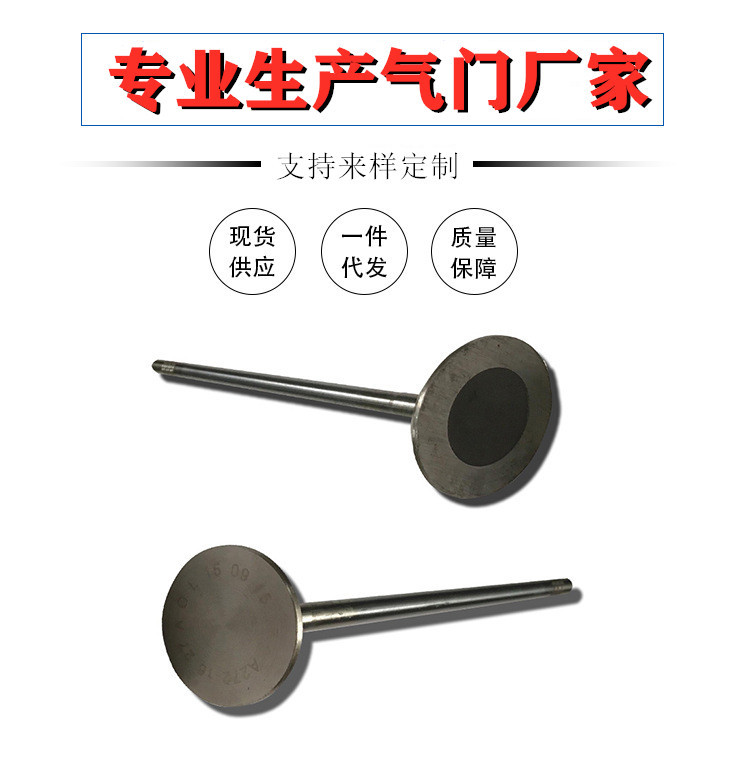 廠家 OEM 11347587470, 11347547187 汽車氣門發(fā)動(dòng)機(jī) 進(jìn)排氣門