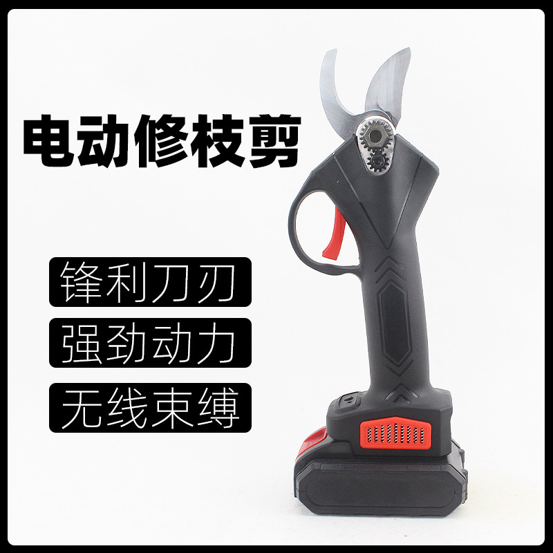 主1.jpg