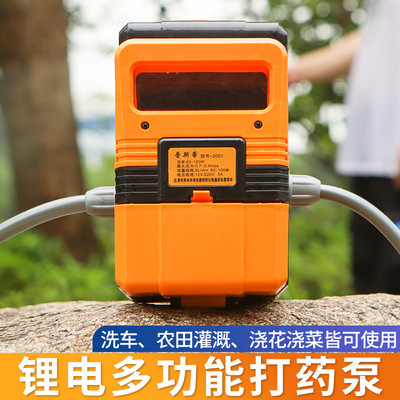 交流鋰電兩用噴霧器洗車槍園林灌溉神器洗車機(jī)噴水槍噴水器澆菜機(jī)