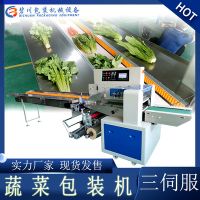 廠家直供蔬菜包裝機蔬菜瓜果打包機自動感應打孔貼標葉菜包裝機械
