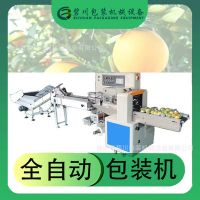 佛山廠家直供自動(dòng)檸檬包裝機(jī)柑橘羅漢果打包機(jī)廣西百香果包裝設(shè)備