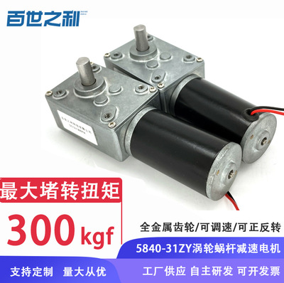 廠家5840渦輪蝸桿微型減速電機(jī)31ZY直流12V24V大功率攪拌機(jī)電機(jī)