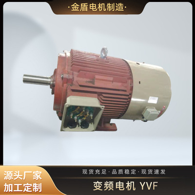 308V三相異步交流調(diào)速電動機(jī) YVF-315M2-6 132千瓦變頻電機(jī)