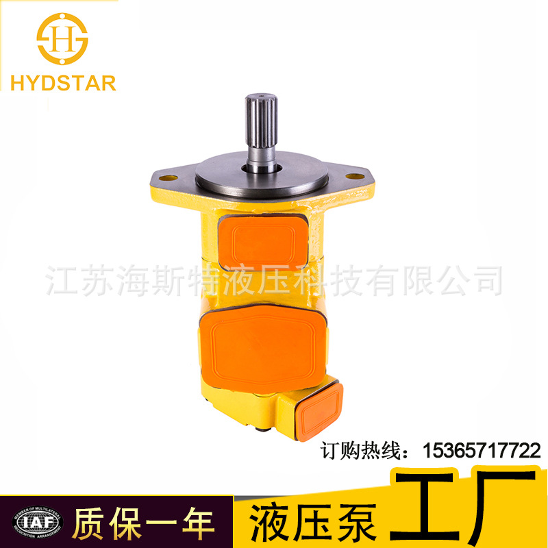 VQ雙泵4.jpg