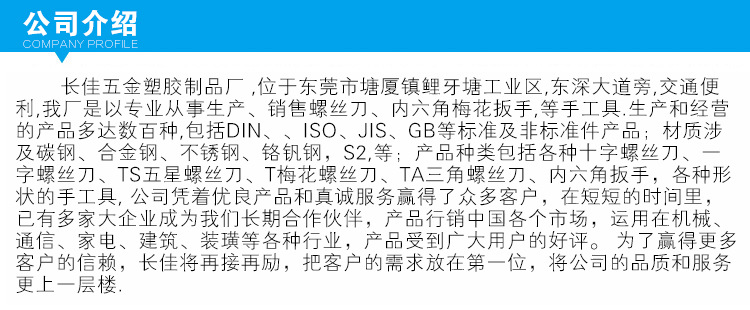公司簡介