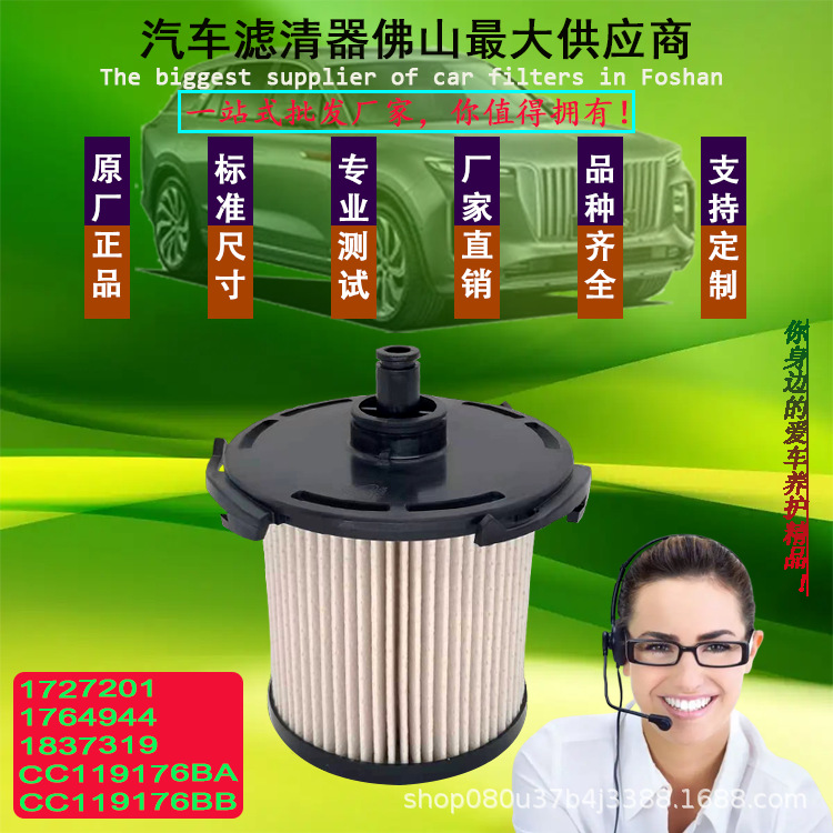 1727201 1764944 1837319 CC119176BA CC119176BB燃油濾清器濾芯