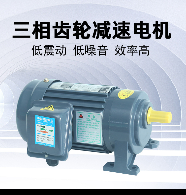 三相齒輪減速電機詳情_01
