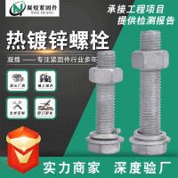 供應(yīng)熱鍍鋅螺栓 熱浸鋅螺絲螺母 電力鉆孔螺栓M16M20