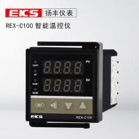 揚(yáng)豐儀表EKS溫控儀REX-C100多輸入PID溫控表溫控器溫度控制器