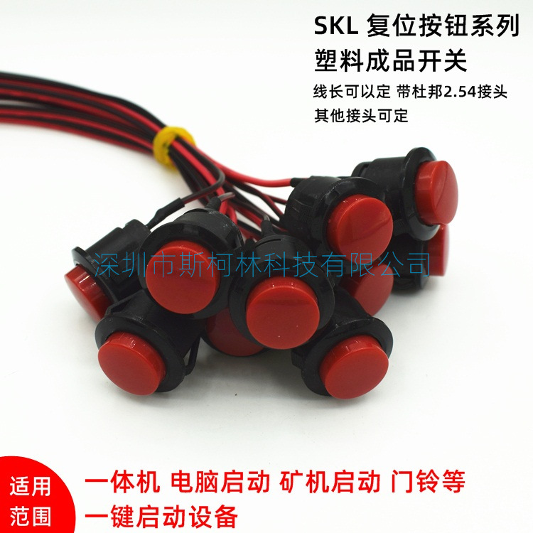 16MM塑料復(fù)位點(diǎn)動開關(guān) 一體機(jī)電腦啟動礦機(jī)開關(guān)帶線50CM2.54接口