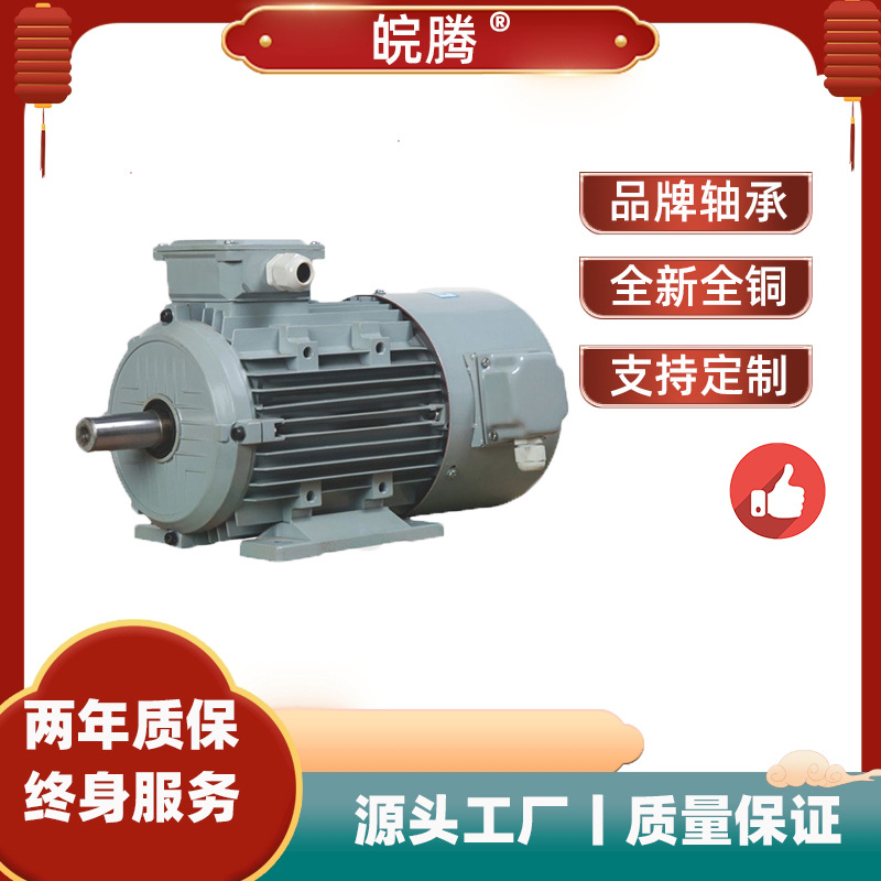 變頻系列大功率立臥式三相異步電動機空壓機風機水泵建筑農(nóng)機電機