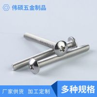 廠家供應(yīng)不銹鋼十字平頭螺絲 十字倒邊螺絲釘歡迎進(jìn)店咨詢批發(fā)價