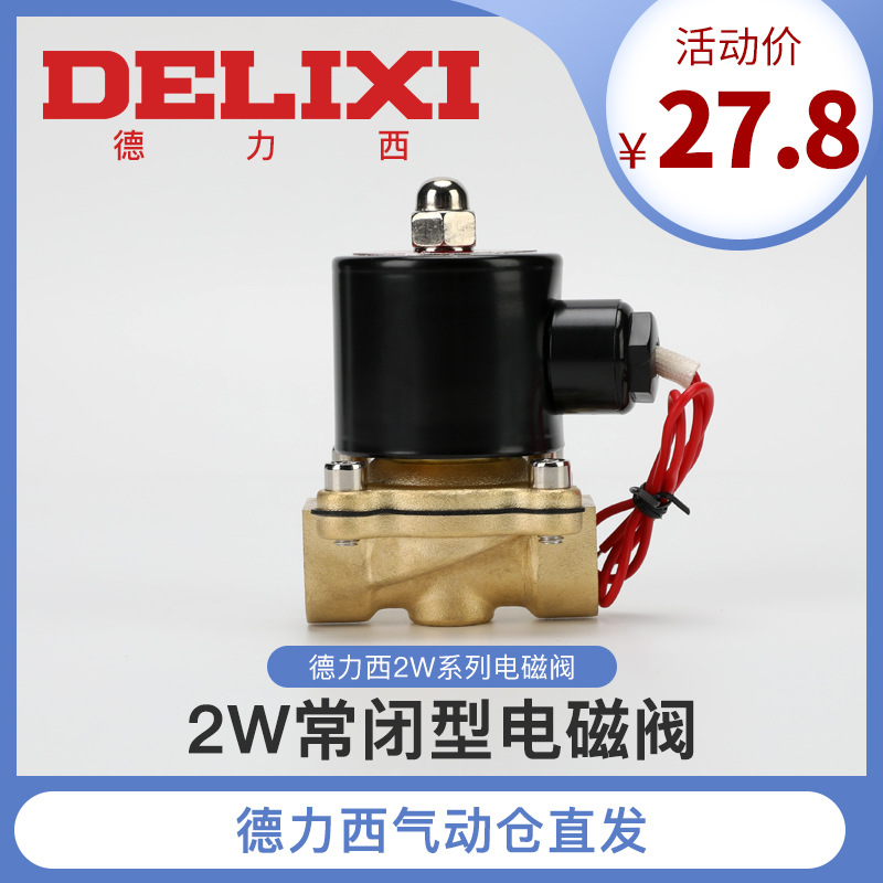 24V德力西氣動2W160-15純銅電磁閥二位二通防爆常閉型電磁閥220V