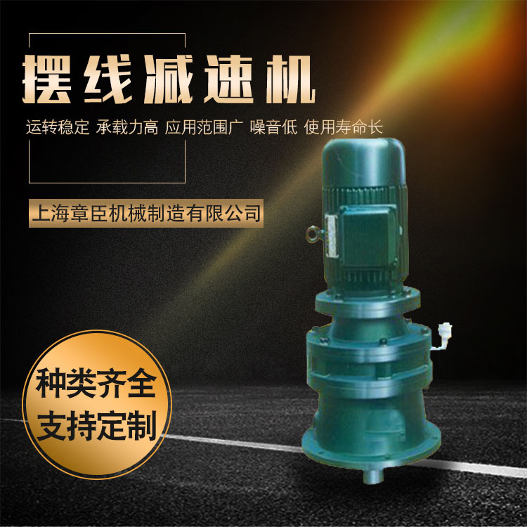 專業(yè)生產(chǎn)行星擺線減速機(jī)運(yùn)轉(zhuǎn)穩(wěn)定機(jī)械設(shè)備可定制臥立式針輪減速機(jī)