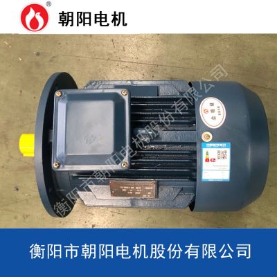 水泵電機(jī)YE3-280M-2-90kw湖南朝陽(yáng)電機(jī)高效率云南三相異步電動(dòng)機(jī)