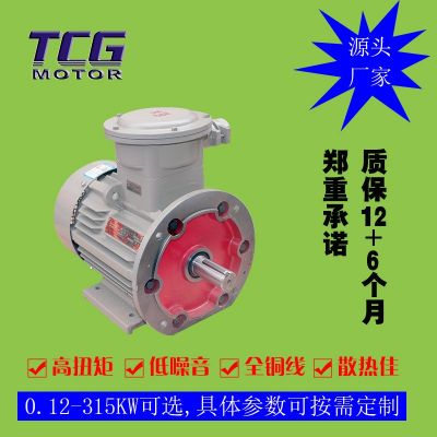 廠家直供YBX3防爆電機(jī)4極 三相隔爆型電動機(jī) 11kw 塑料風(fēng)扇通風(fēng)