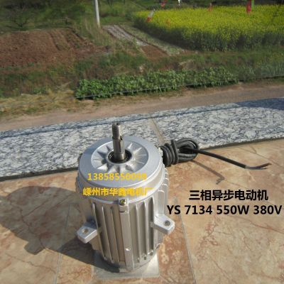 三相異步電動(dòng)機(jī)380V冷庫冷凝器電機(jī)YS7134 550W100%全銅線電機(jī)