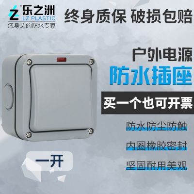戶外20A歐規(guī)IP65公園泳池防暴雨防濺工業(yè)電源墻壁開關防水開關