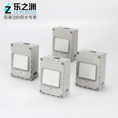 IP66化工礦區(qū)防暴雨防濺工業(yè)電源墻壁雙控開關戶外防水防爆開關