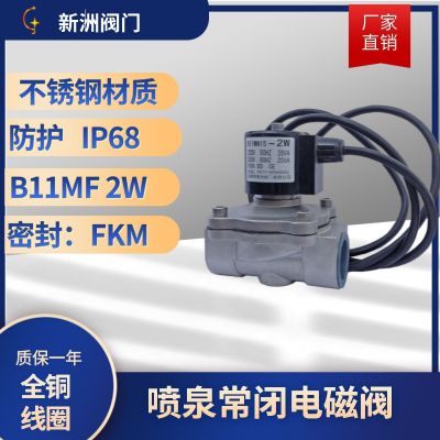 電磁閥消防、防水 、潛水、噴泉 220V/24V 水閥新洲不銹鋼電磁閥
