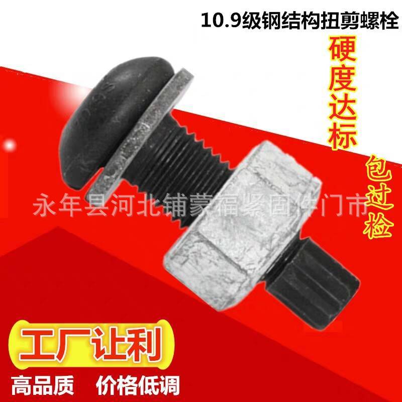 扭剪型 (2)