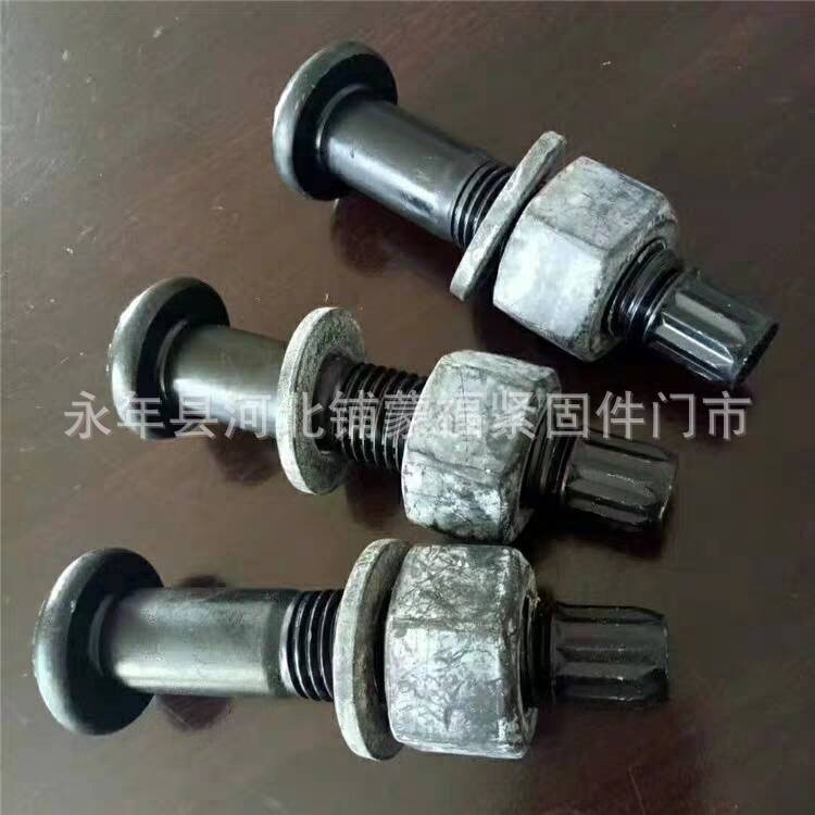 扭剪型4 (2)