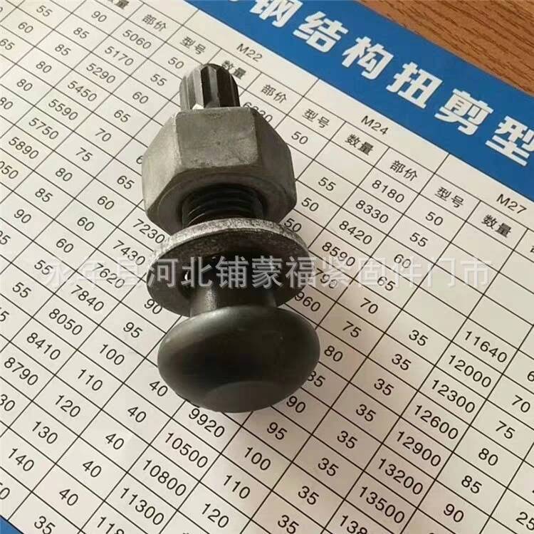扭剪型 (1)