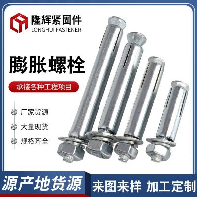 膨脹螺栓 建筑鍍鋅膨脹螺絲 膨脹管拉爆膨脹 地板膨脹螺絲 膨脹栓