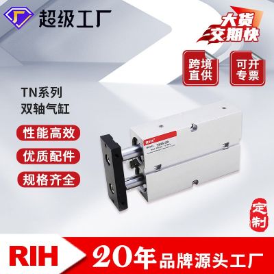 RIH瑞亨 TN導(dǎo)桿氣缸 亞德客型雙作用型雙軸雙桿 氣動氣缸非標(biāo)定制
