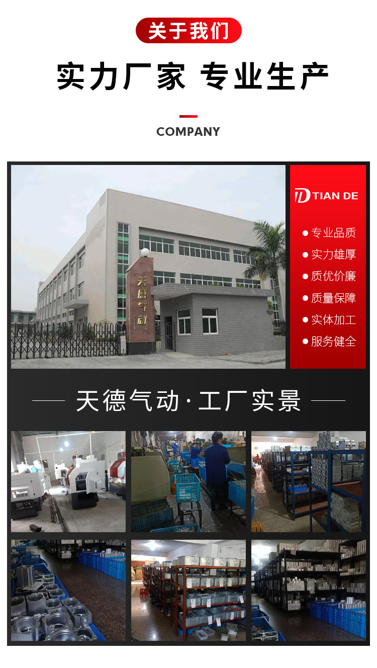 TN雙桿氣缸_12