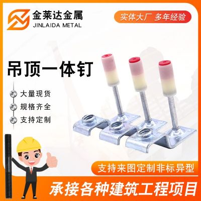 現(xiàn)貨供應(yīng)吊頂一體釘炮釘?shù)蹴斏溽斈君埞桥卺斚翎數(shù)蹴斏衿饕惑w釘