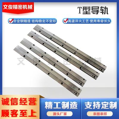 機床導軌重載直線軸承燕尾槽鑲鋼三角矩形V型滾輪齒條導軌滑軌道