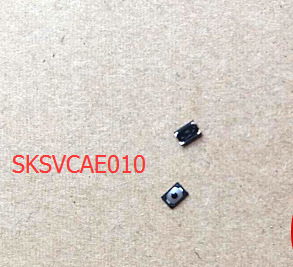 SKSVCAE010圖片